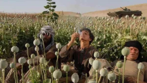 چگونه اعتیاد به تریاک را به صورت علمی ترک کنیم؟
