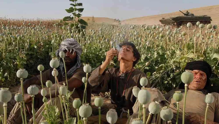 چگونه اعتیاد به تریاک را به صورت علمی ترک کنیم؟
